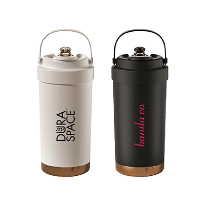 Dual Lid Stainless Steel Bottle with Handle - 500ml