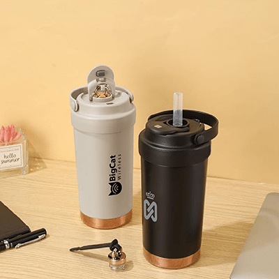 Dual Lid Stainless Steel Bottle with Handle - 500ml